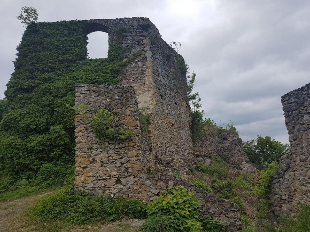 Ferienwohnung Hegau- Bodensee Og Muhlhausen-Ehingen Dış mekan fotoğraf
