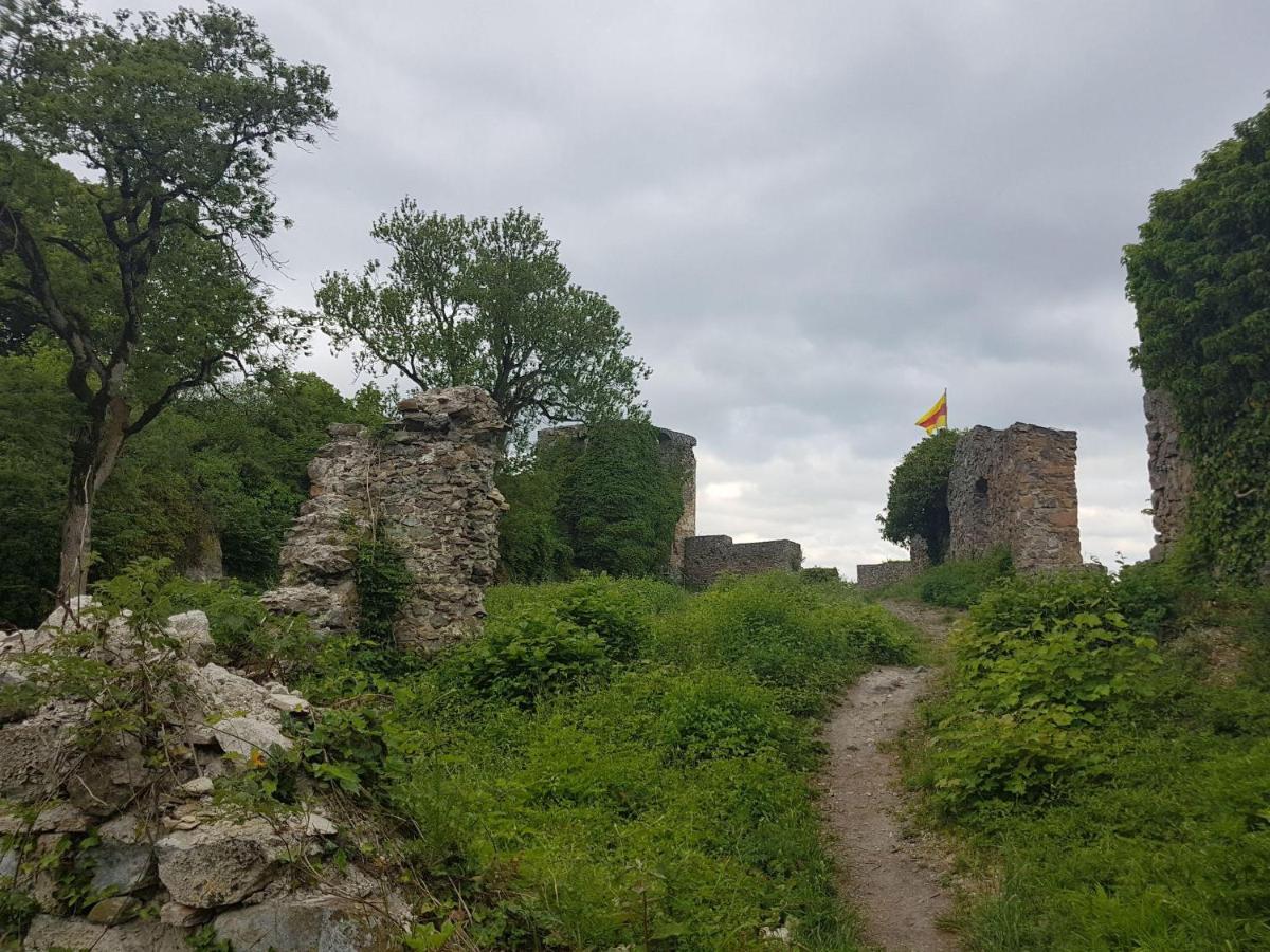 Ferienwohnung Hegau- Bodensee Og Muhlhausen-Ehingen Dış mekan fotoğraf
