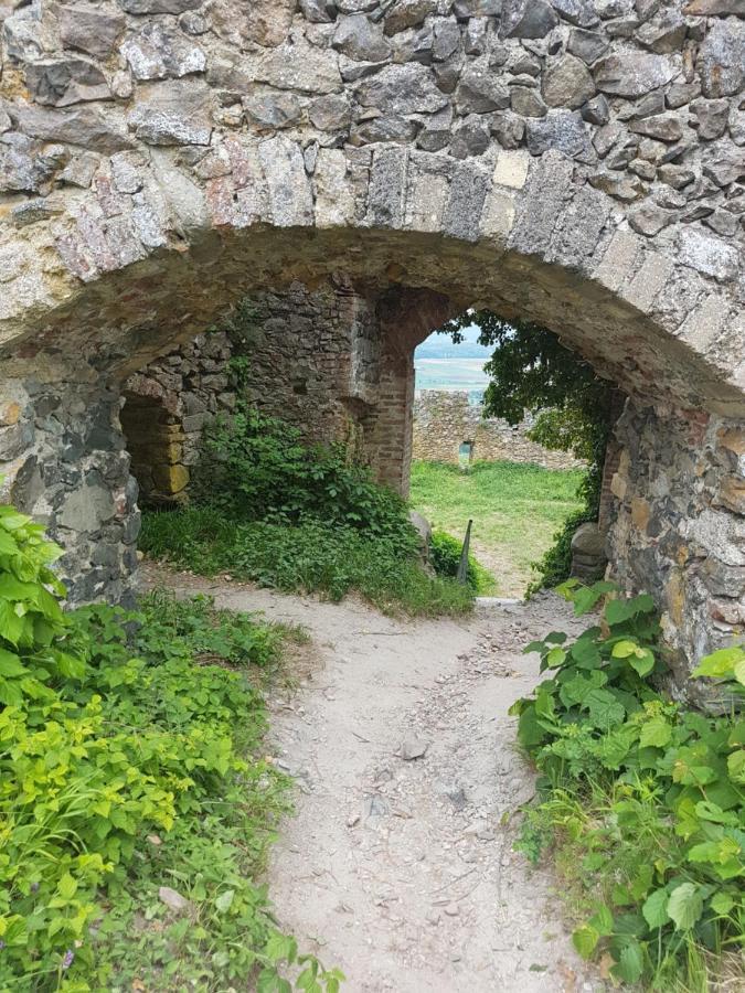 Ferienwohnung Hegau- Bodensee Og Muhlhausen-Ehingen Dış mekan fotoğraf