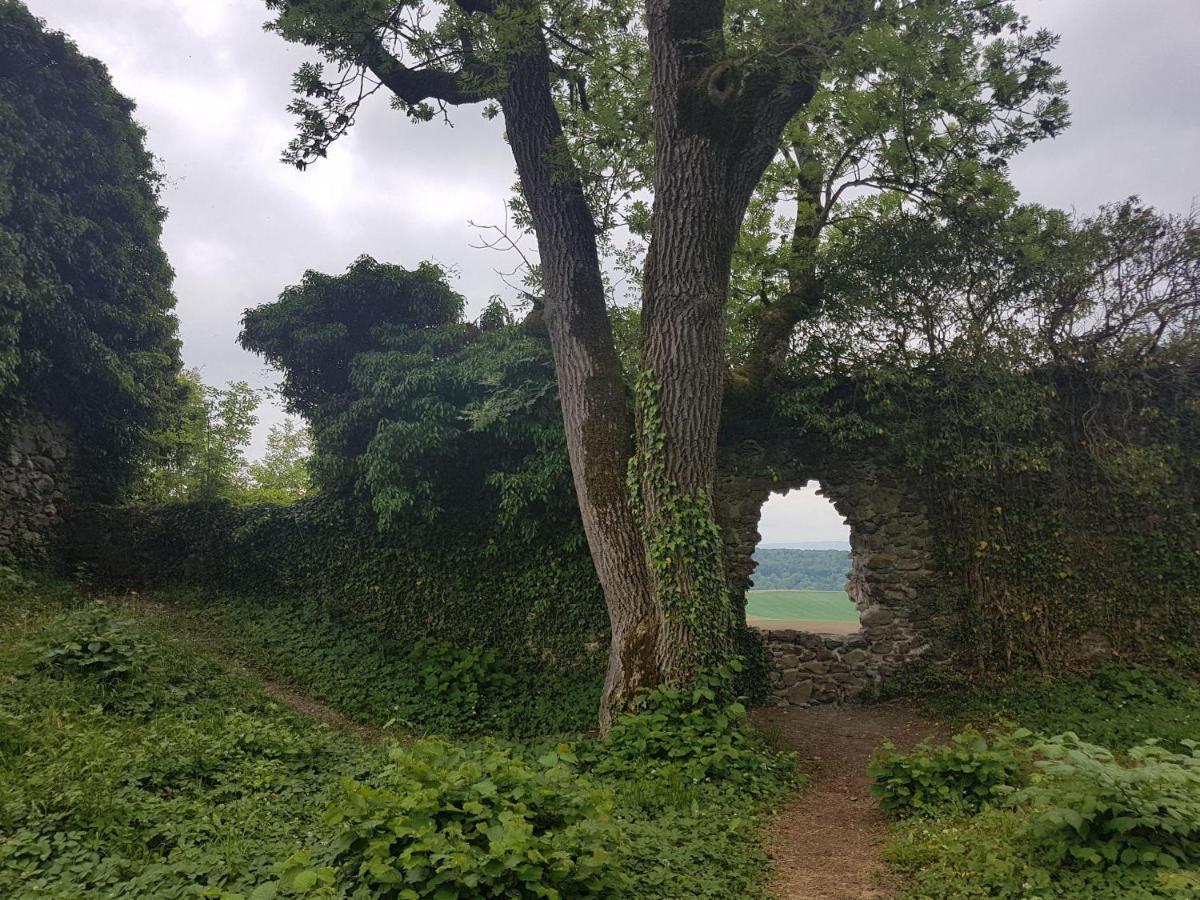 Ferienwohnung Hegau- Bodensee Og Muhlhausen-Ehingen Dış mekan fotoğraf